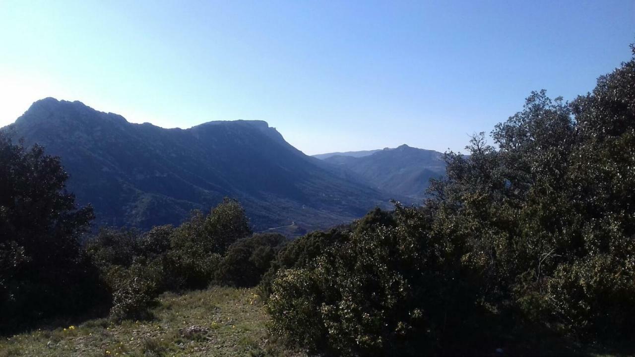 Le Gite De Cristal Proche Bugarach Granes Eksteriør bilde